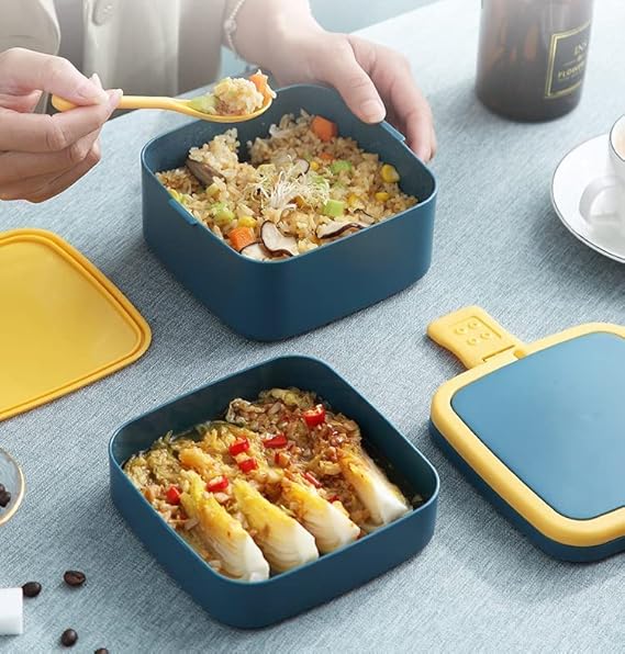 Airtight Lunch Box Set Compartment Tiffin with Handle & Push Lock | Plastic Tiffin Box for Travelling, School & Office Exclusive (BLUE)